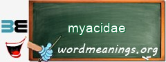 WordMeaning blackboard for myacidae